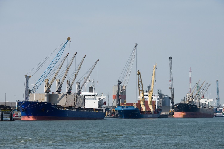 Bulk carriers docked next to cranes at the Port of Antwerp-Bruges in Antwerp, Belgium, April 28, 2022. /VCG