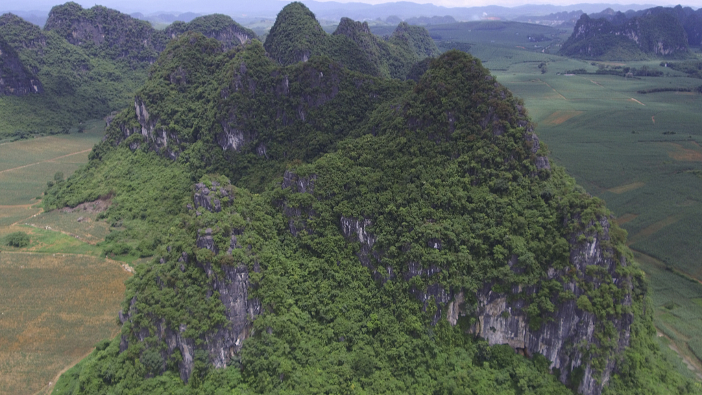 The mountain where fossils of Gigantopithcus blacki were found in caves in the Guangxi region of southern China. /CFP