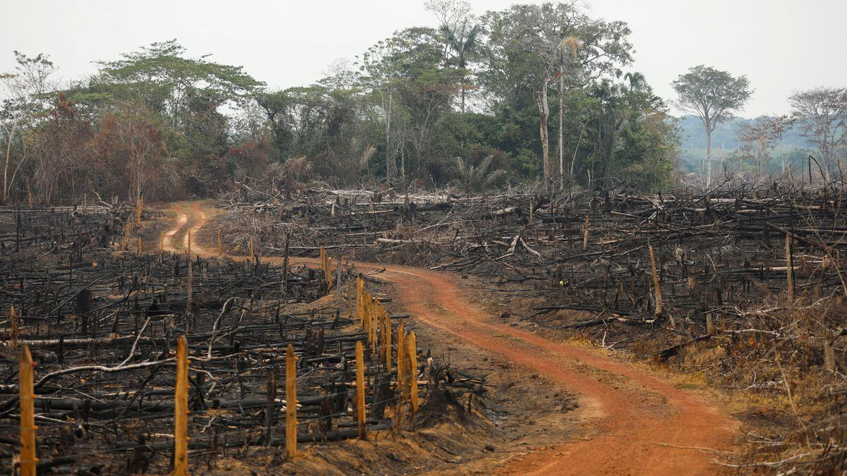A view of an illegal road made during the deforestation of the Yari plains, Caqueta, Colombia, March 3, 2021. /CFP