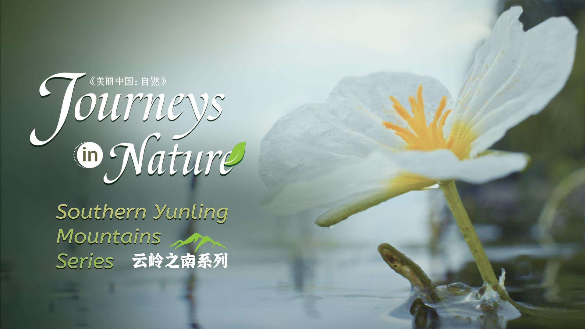 CGTN Nature to release 'Journeys in Nature: Southern Yunling Mountains Series'