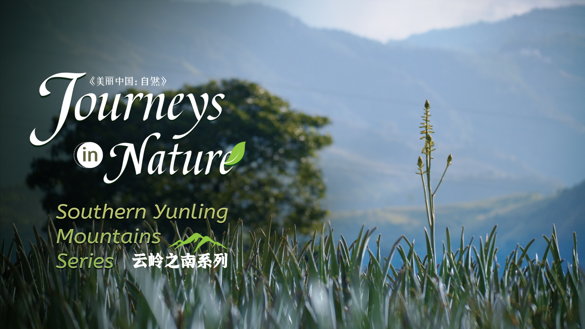 CGTN Nature to release 'Journeys in Nature: Southern Yunling Mountains Series'