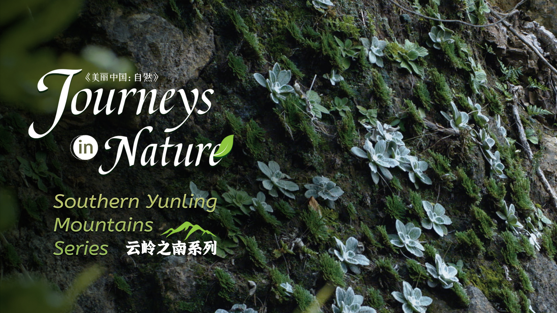 CGTN Nature to release 'Journeys in Nature: Southern Yunling Mountains Series'