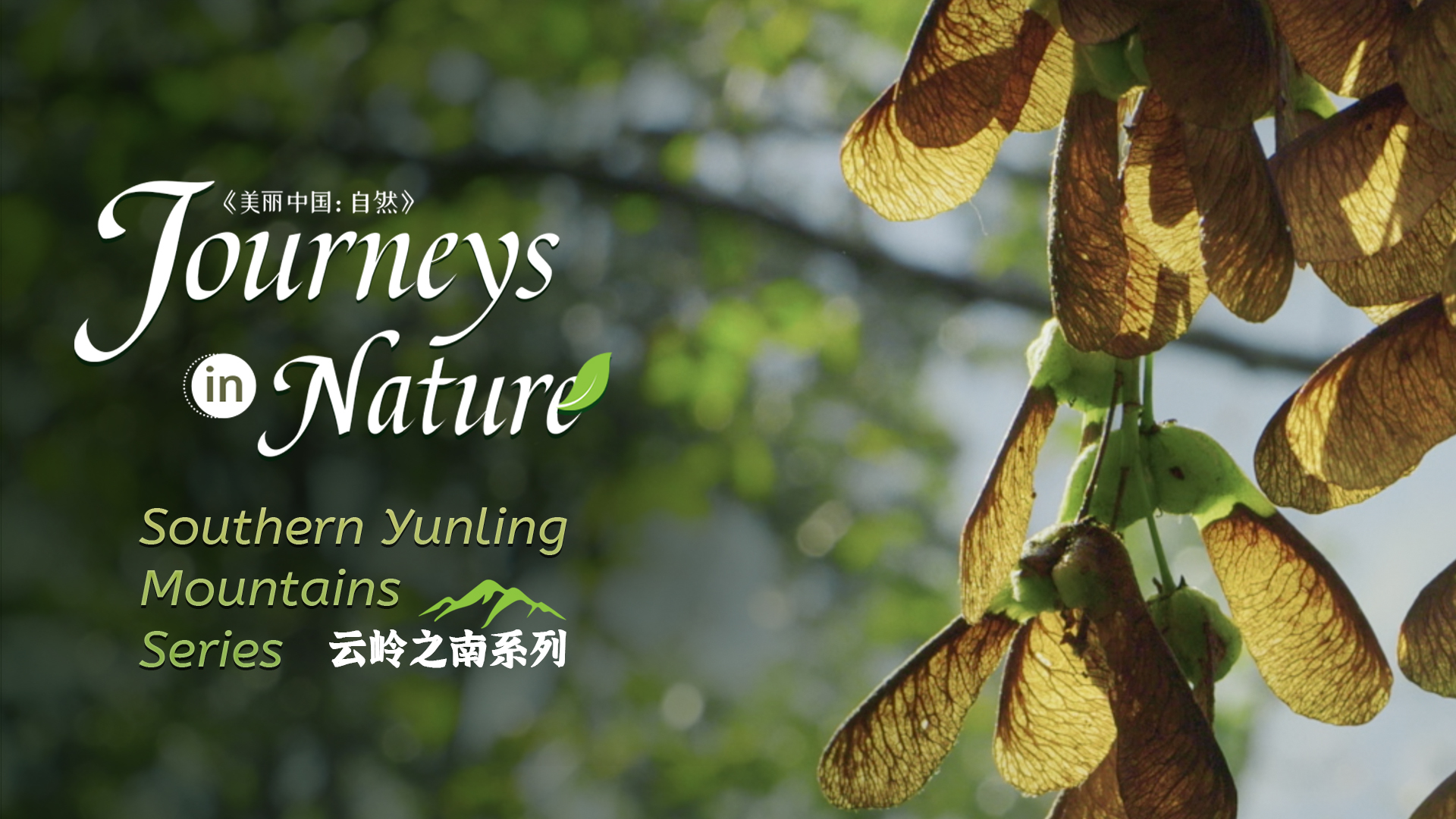 CGTN Nature to release 'Journeys in Nature: Southern Yunling Mountains Series'