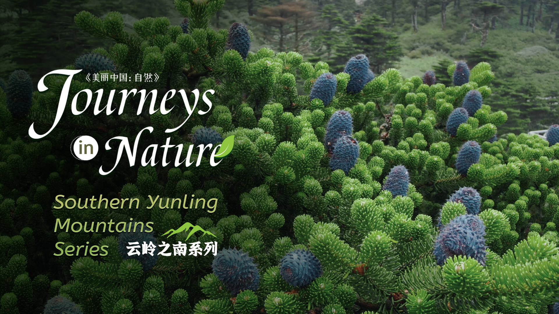 CGTN Nature to release 'Journeys in Nature: Southern Yunling Mountains Series'