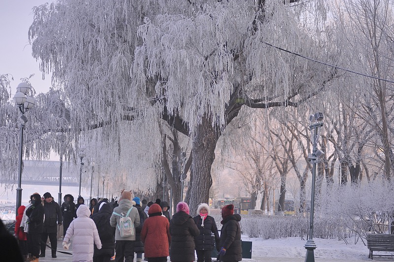 Residents flock to the banks of the Songhua River to enjoy picturesque scenes of soft rime in Harbin City, Heilongjiang Province, January 13, 2024. /CFP