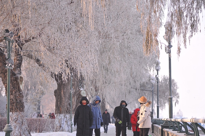 Residents flock to the banks of the Songhua River to enjoy picturesque scenes of soft rime in Harbin City, Heilongjiang Province, January 13, 2024. /CFP