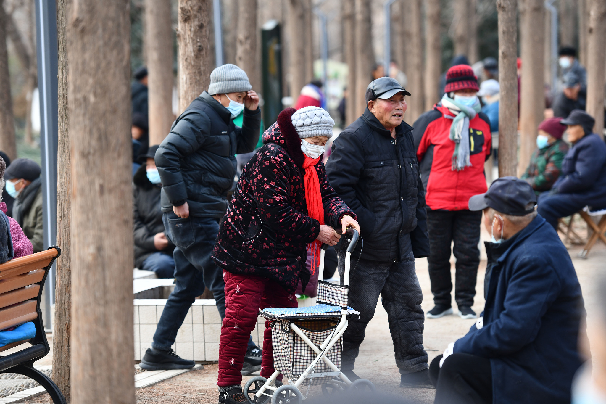 Elderly residents spend a leisurely day in a park located in Fuyang City, situated in the eastern part of China's Anhui Province, January 15, 2024. /CFP