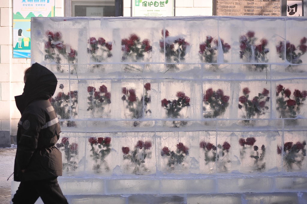 A pedestrian walks past an art installation featuring roses encased in ice in Harbin, northeast China's Heilongjiang Province, January 9, 2024. /CFP