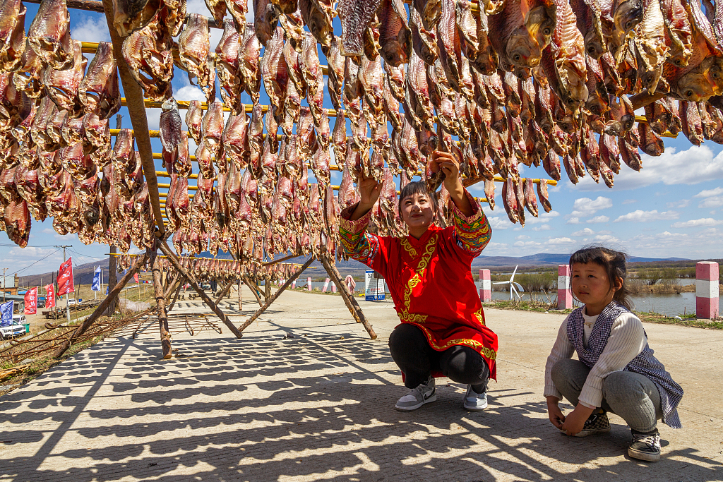 Fish being dried, Jiamuzi City, Heilongjiang Province, northeast China, May 2, 2021. /CFP 