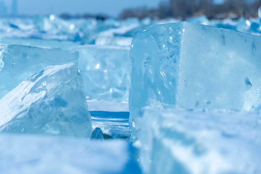 Photo taken on January 16, 2024 shows the crystal clear blocks of ice on the surface of the Songhua River, Heilongjiang Province. /CFP