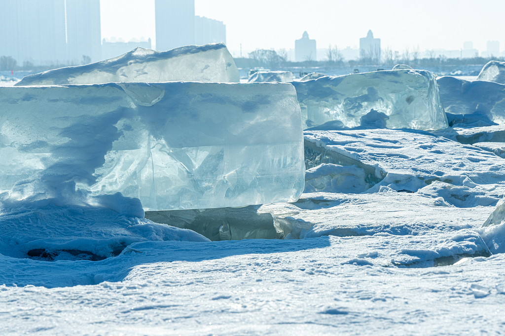 Photo taken on January 16, 2024 shows the crystal clear blocks of ice on the surface of the Songhua River, Heilongjiang Province. /CFP
