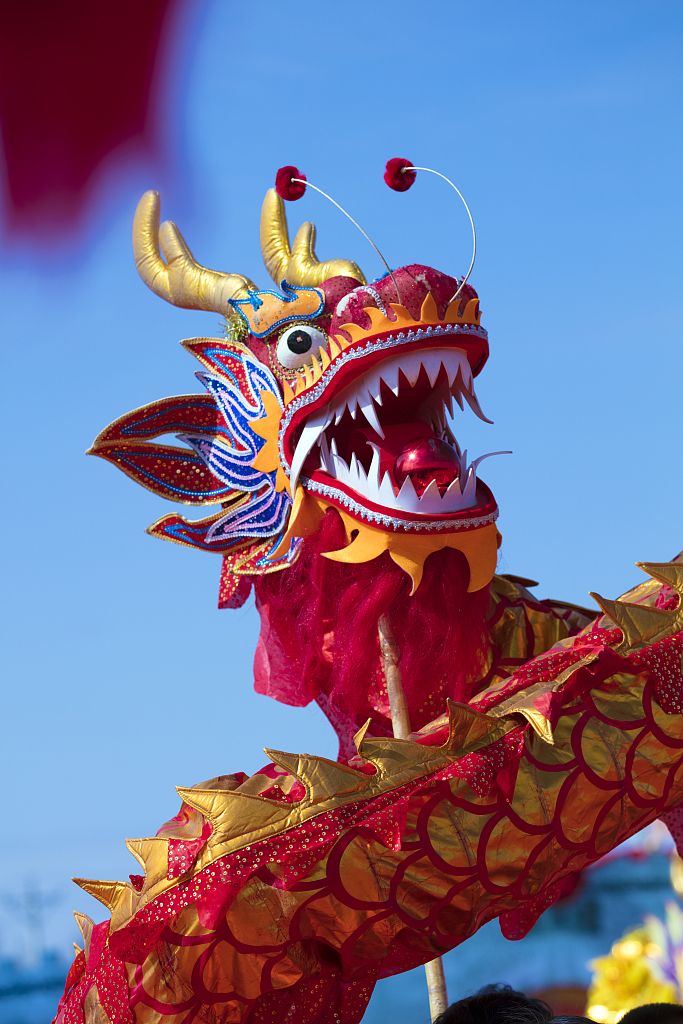 A file photo shows a close-up of the head of the “dragon.” /CFP