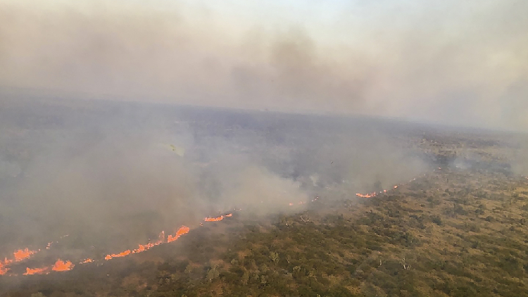 Extreme heat wave in Western Australia raises bush fire risk - CGTN