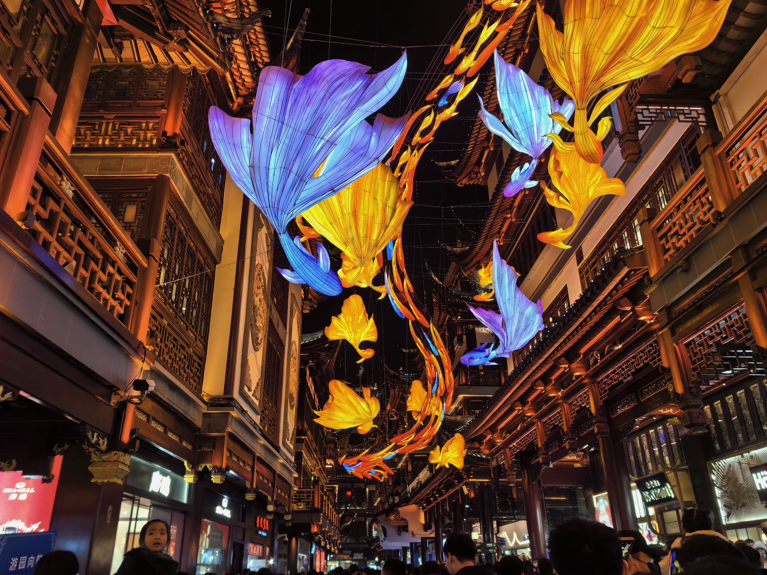 Photo taken on December 31, 2023 shows fish lanterns hanging on the street outside Yuyuan Garden in Shanghai. /CFP