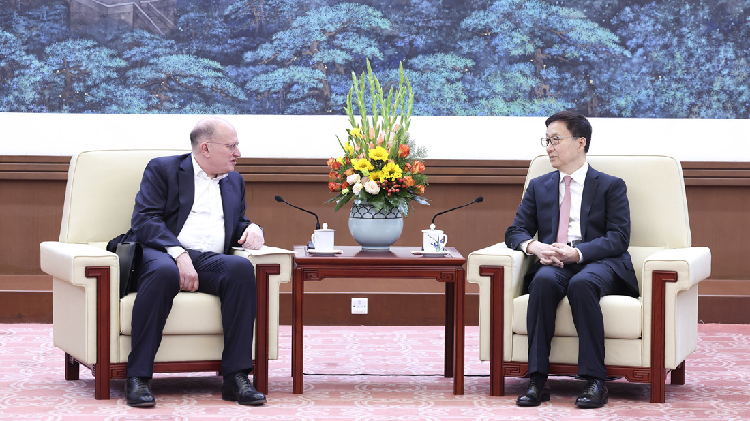 Chinese vice president meets HSBC Group chairman - CGTN