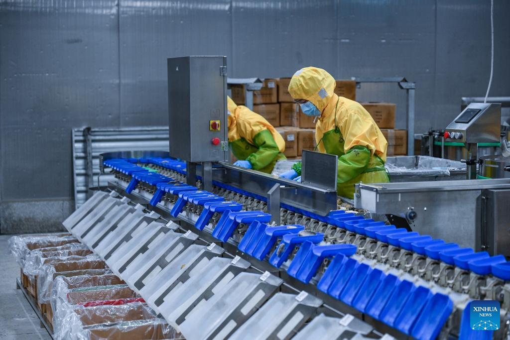 Workers at a seafood processing production line at Fuqing Zhaohua Aquatic Food Co., Ltd., one company operating in Yuanhong Investment Zone, southeast China's Fujian Province, August 24, 2023. /Xinhua