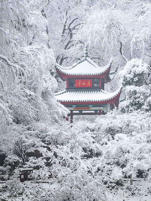 The snow-covered Aiwan Pavilion provides the perfect backdrop to the beautiful winter scenery in Changsha City, Hunan Province, January 22, 2024. /CFP