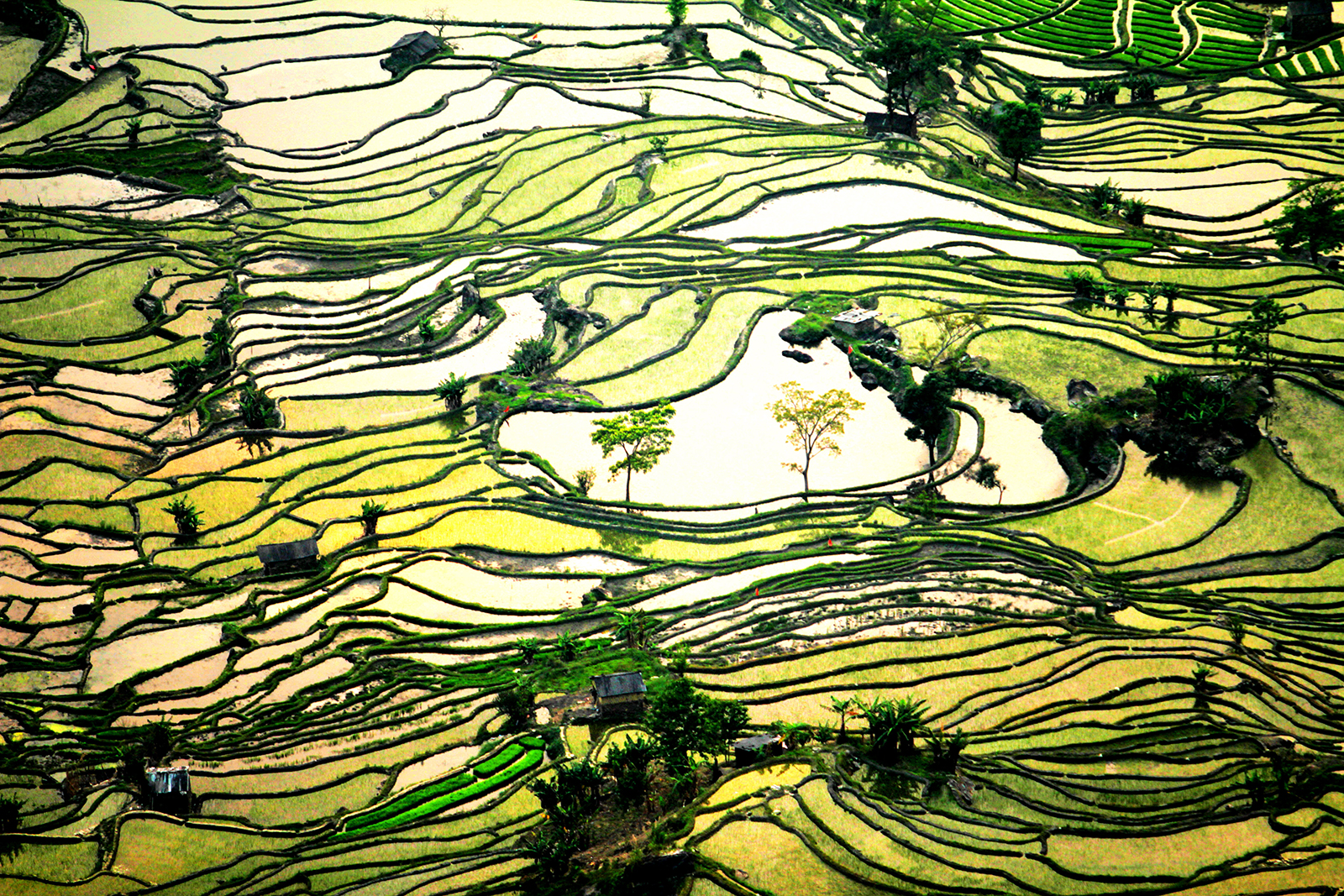 A file photo shows a view of the Honghe Hani Rice Terraces in Yuanyang County, Yunnan Province. /IC
