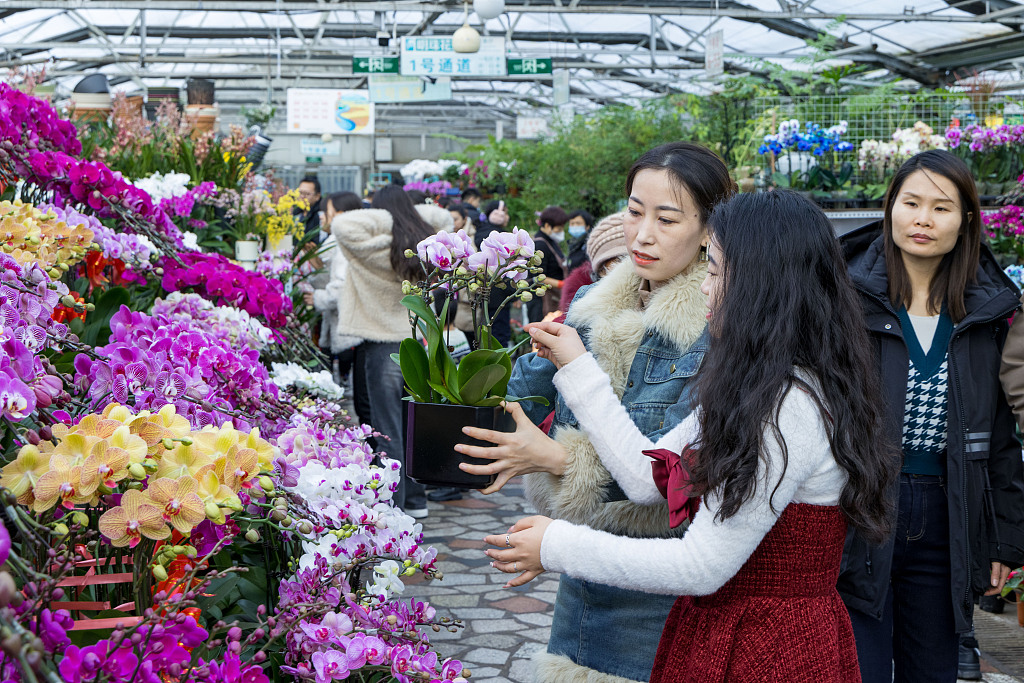 People shop for flowers and plants in Urumqi ahead of the upcoming Spring Festival holiday. /CFP