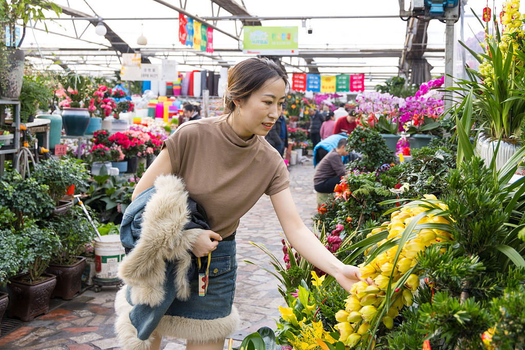 A woman shops for flowers and plants in Urumqi ahead of the upcoming Spring Festival holiday. /CFP