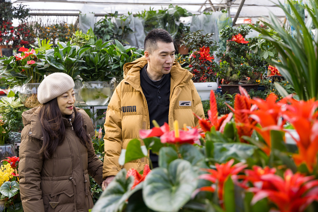 People shop for flowers and plants in Urumqi ahead of the upcoming Spring Festival holiday. /CFP