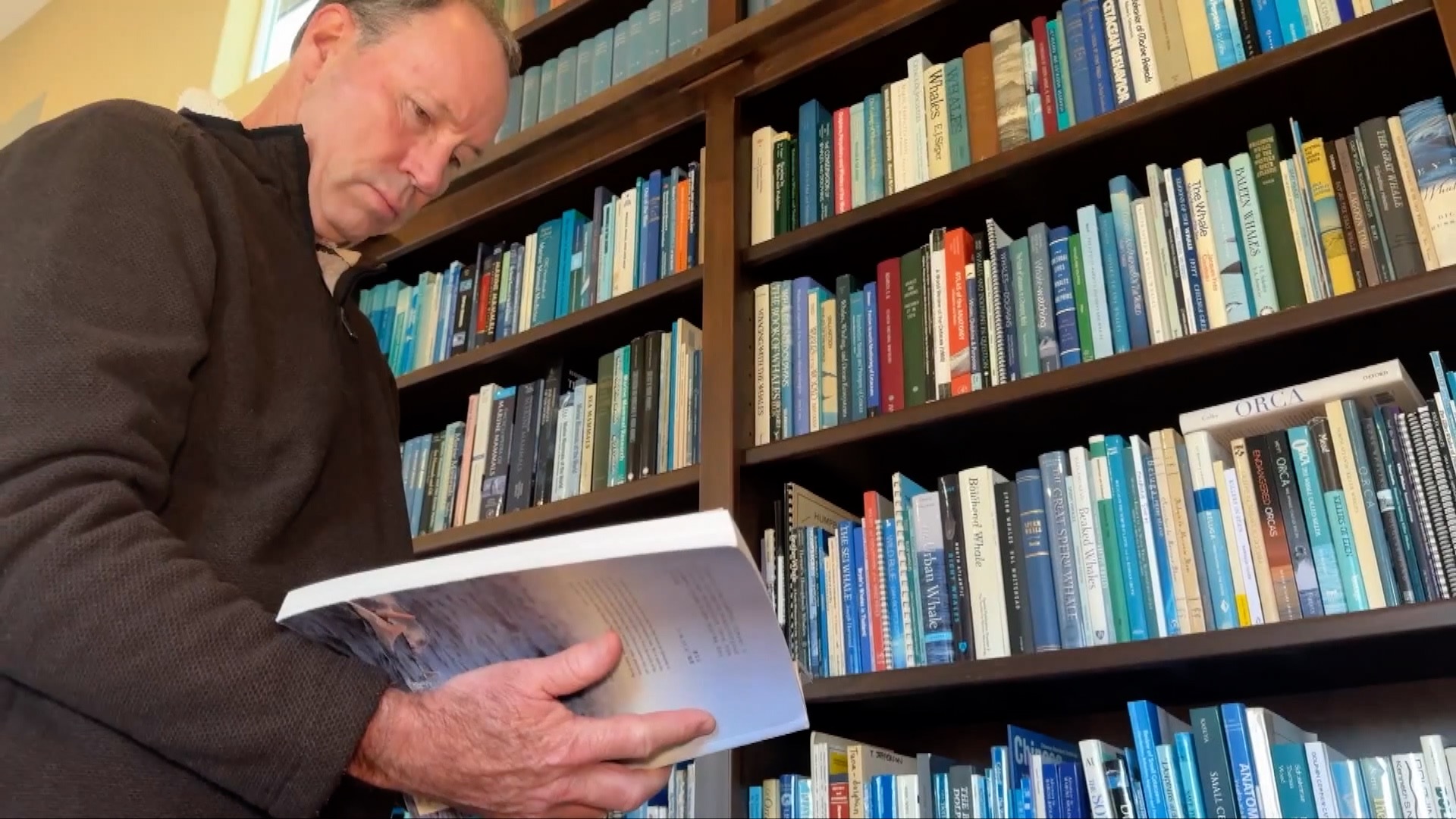 Thomas Jefferson, a visiting scientist from the Southwest Fisheries Science Center, browses through a book on Chinese white dolphins in California, the United States. /CGTN video screenshot