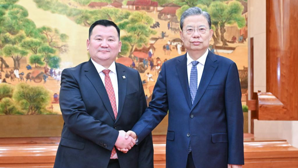 Zhao Leji (R), chairman of the National People's Congress Standing Committee, meets with Lkhagva Munkhbaatar, vice chairman of Mongolia's State Great Hural (Parliament) in Beijing, capital of China, January 25, 2024. /Xinhua