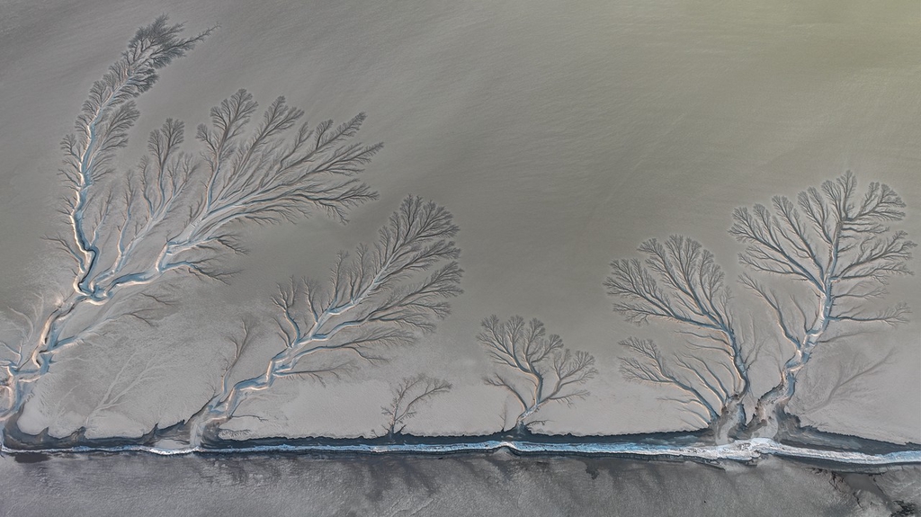 A photo shows tree-shaped ice formations on the tidal flats of the Qiangtang River in Jiaxing, Zhejiang Province on January 24, 2024. /IC