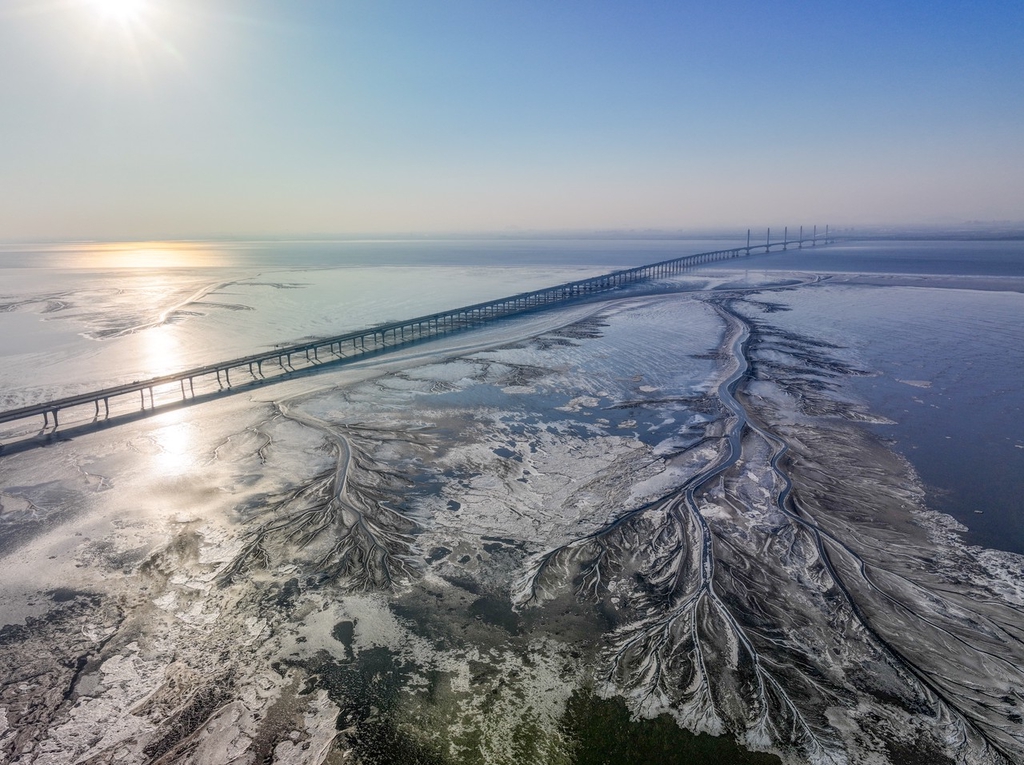 A photo shows the sun shining on tree-shaped ice formations on the tidal flats of the Qiangtang River in Jiaxing, Zhejiang Province on January 24, 2024. /IC