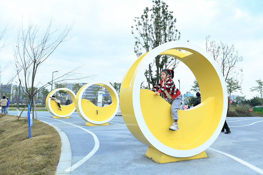 Children play at the Qilong Reclaimed Water Wetland Park in Chengdu, Sichuan Province on January 22, 2024. /CFP