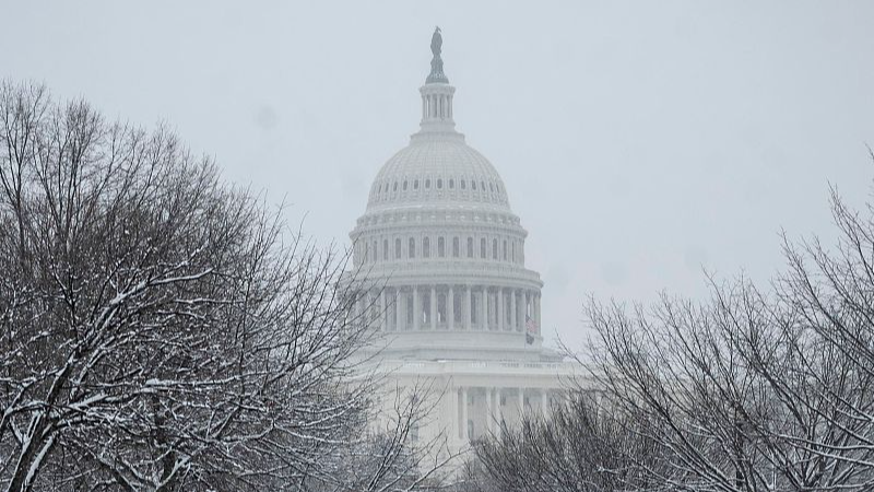 The U.S. Capitol is seen beyond snow-covered trees in Washington, D.C., January 19, 2024. /CFP