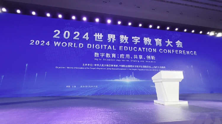 AI revolution: 2024 World Digital Education Conference opens in China