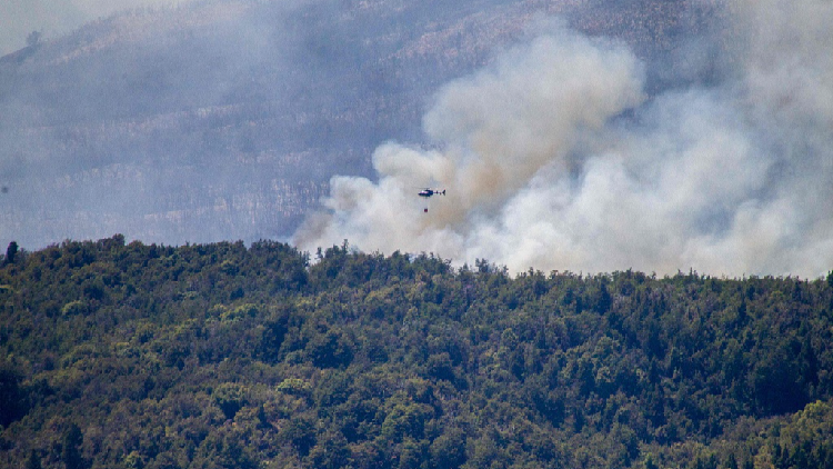 Official says fire in Argentina UNESCO park caused by arson