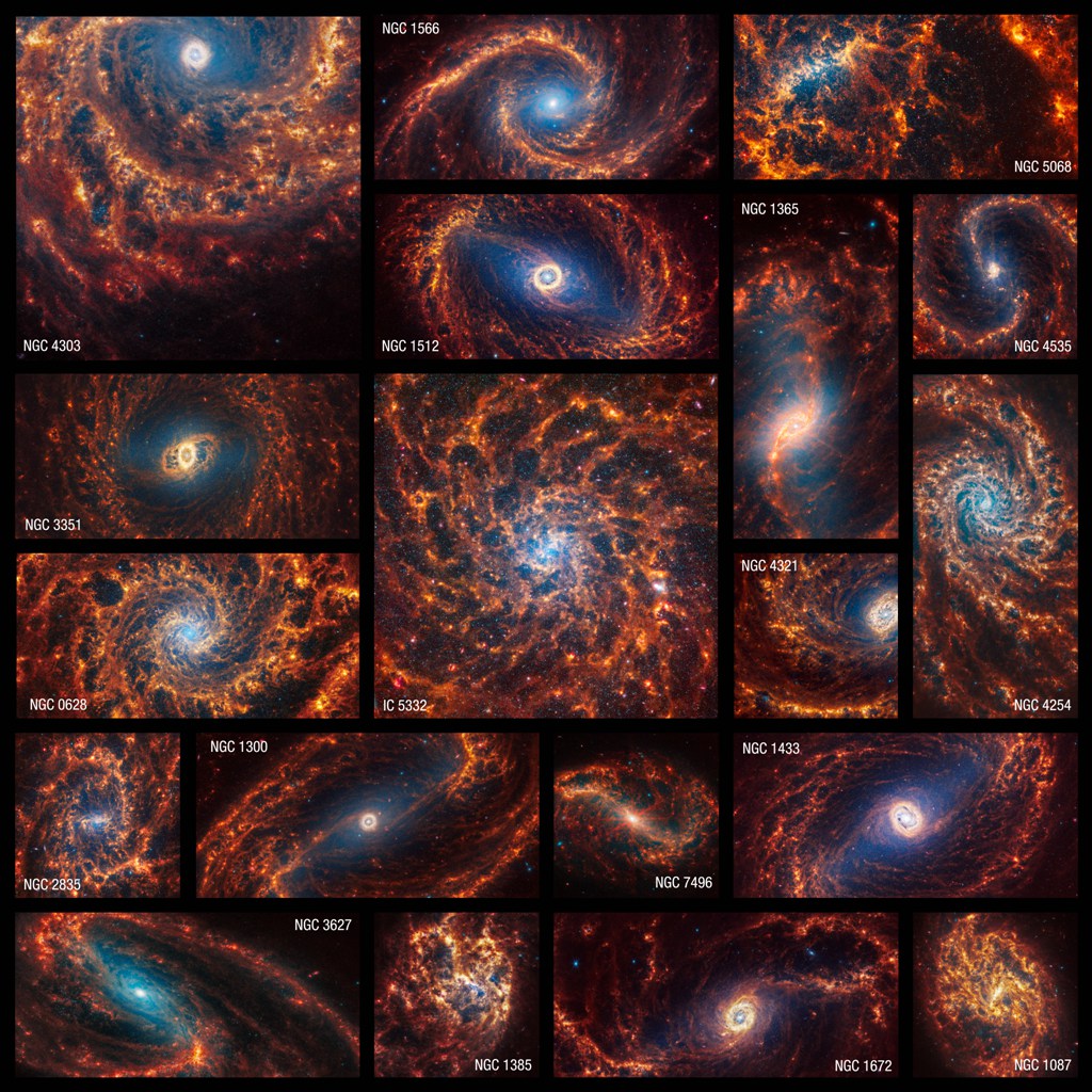 The 19 spiral galaxies captured by the James Webb Space Telescope. /NASA