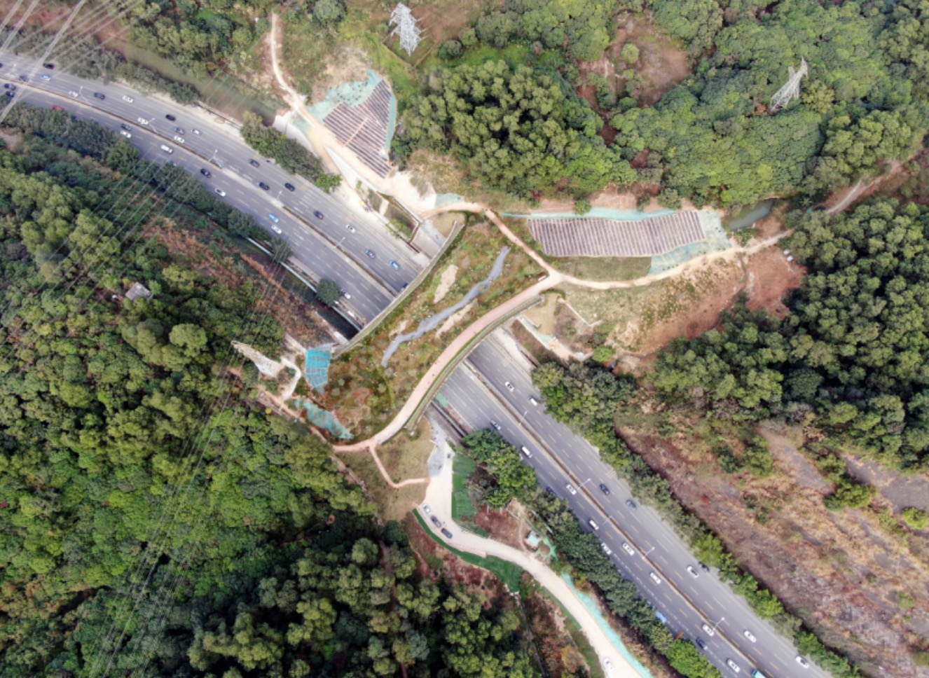 This undated file photo shows the Kunpeng Trail No. 1 Bridge connecting the Yinhu and Meilin mountains, Shenzhen, China. /CFP