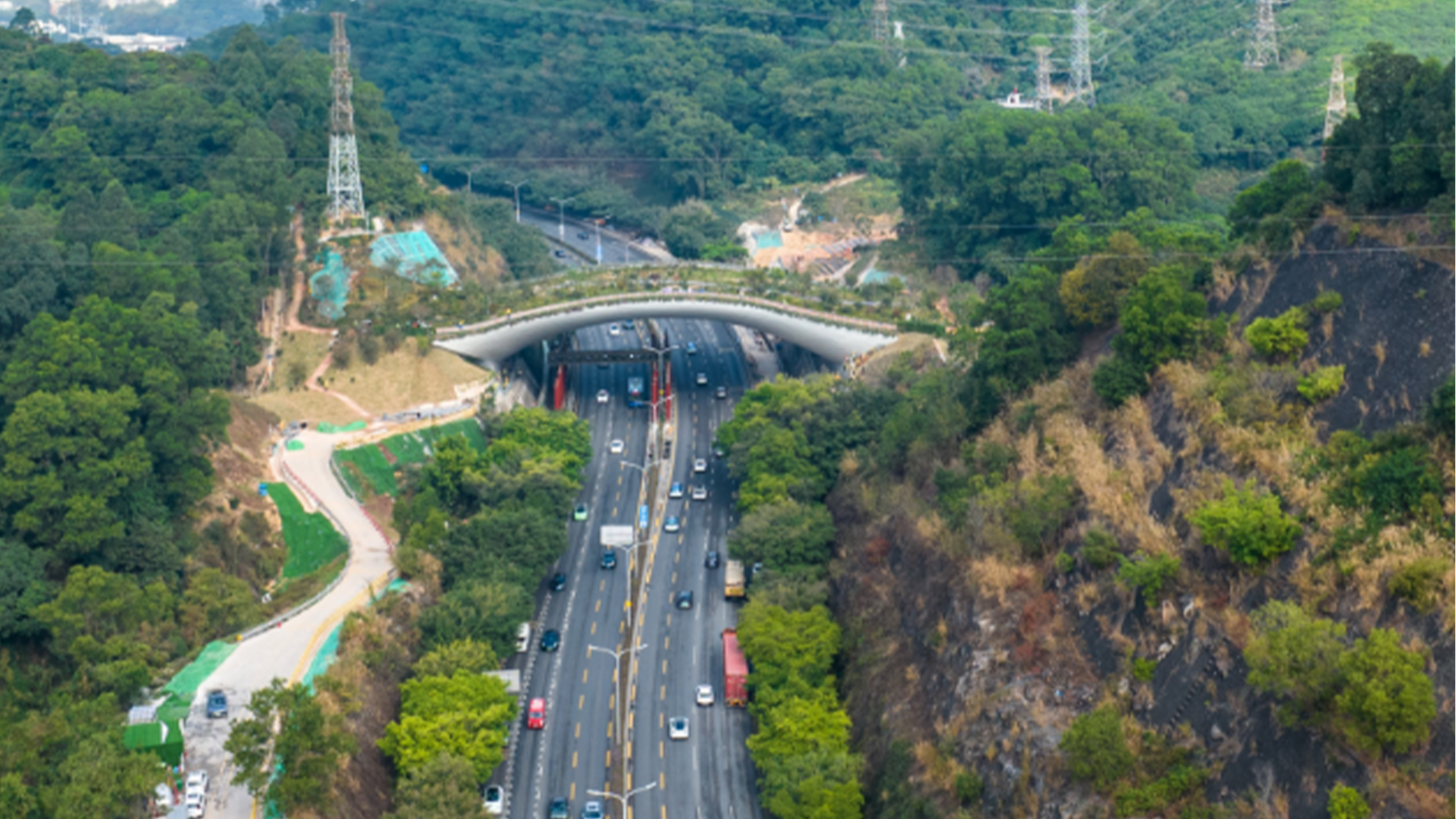 This undated file photo shows the Kunpeng Trail No.1 Bridge connecting the Yinhu and Meilin mountains, Shenzhen, China. /CFP