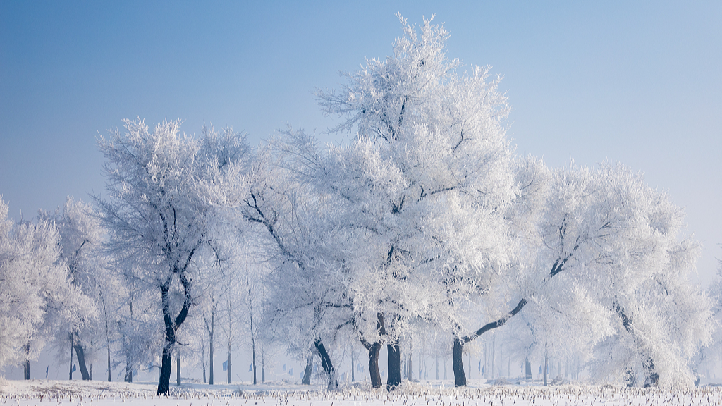 Photo taken on January 28, 2024 shows the view of rime in Jilin City, northeast China's Jilin Province. /CFP