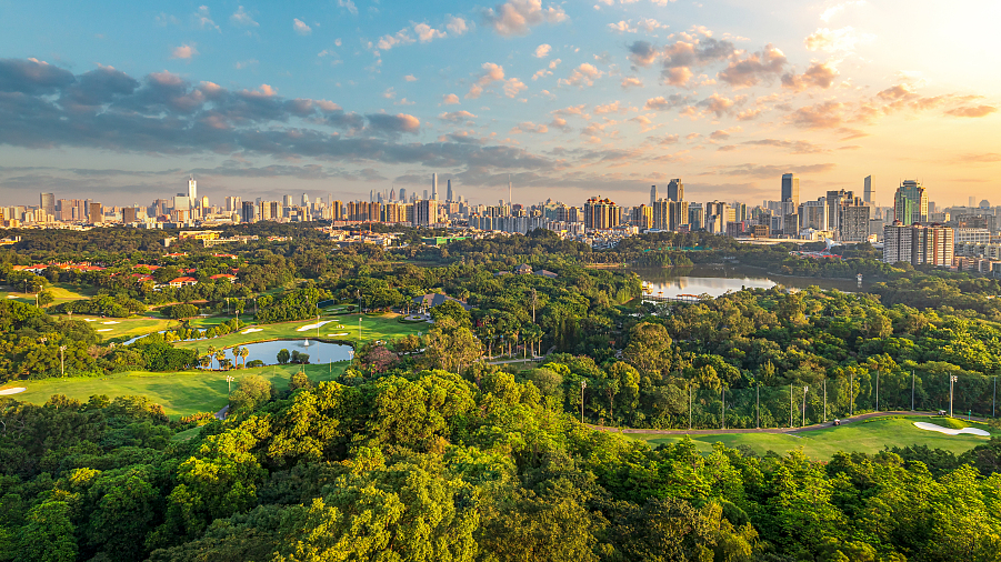 The scenery in Guangzhou, south China's Guangdong Province. /VCG