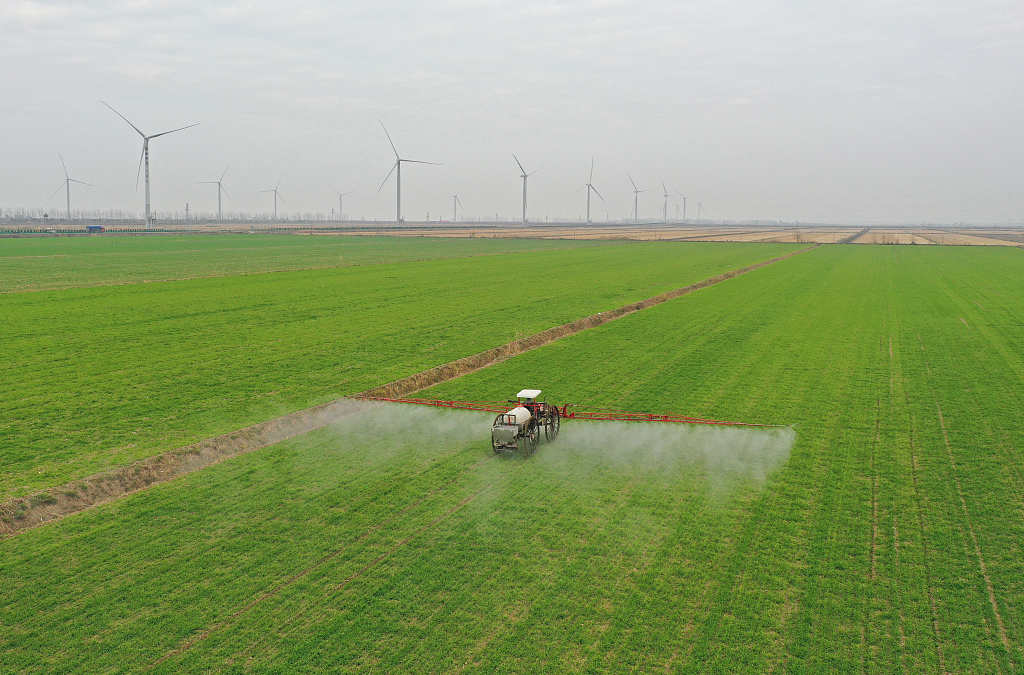 A farmer uses a machine to fertilize and weed wheat lands at the Huanheyang Farm in Anqing City, Anhui Province, January 30, 2024. /CFP