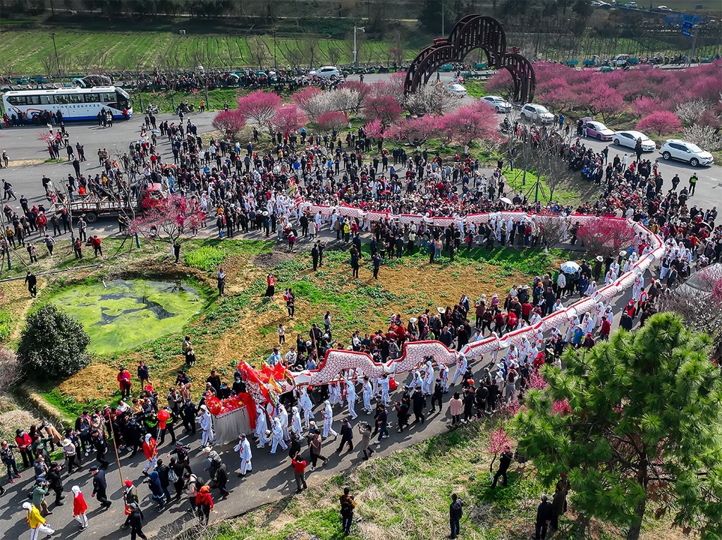 Luoshan dragon joins a parade in Lishui District, Nanjing, east China's Jiangsu Province, on March 4, 2022. /IC