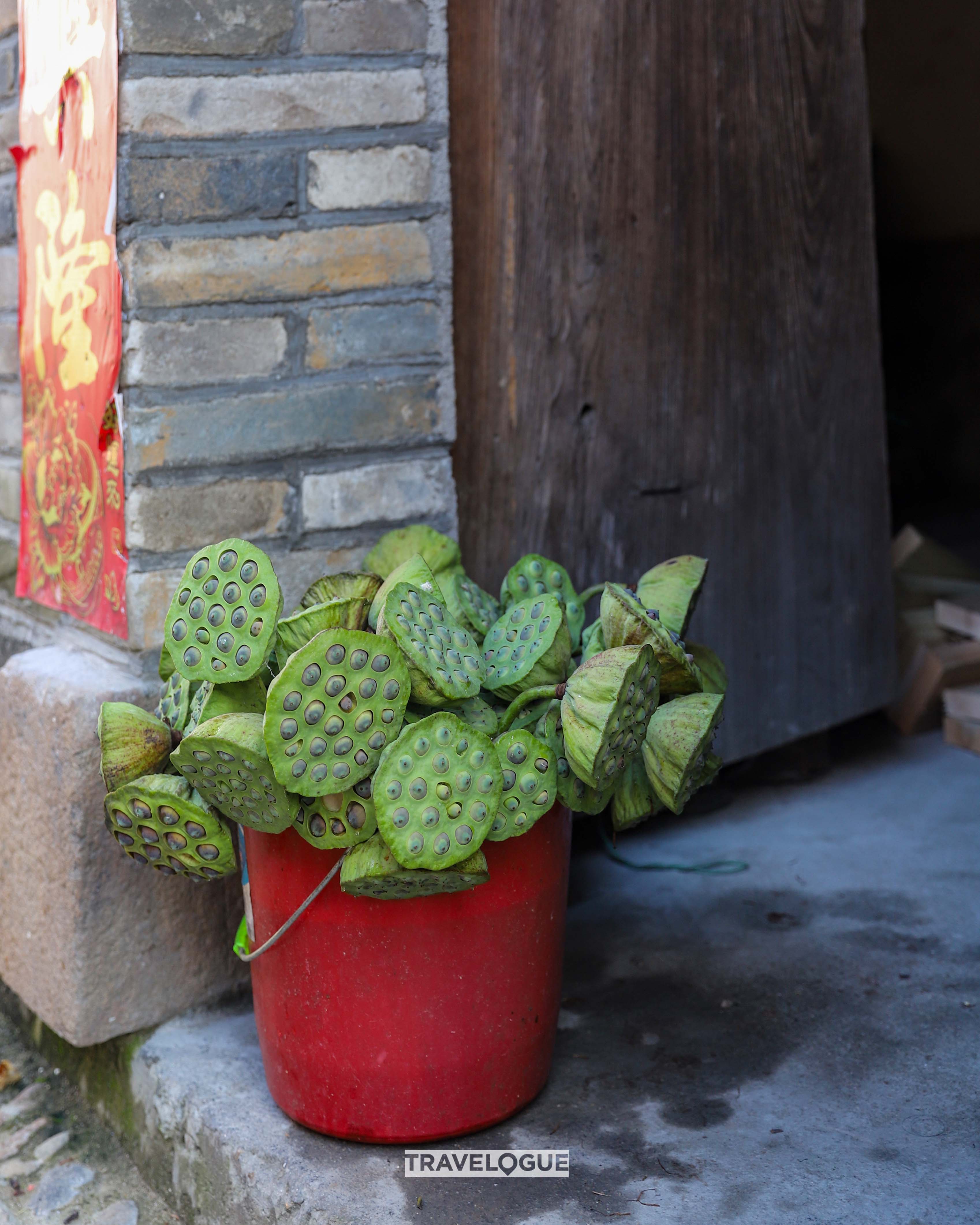 Fresh lotus seeds are seen in Wufu Ancient Town, Fujian Province /CGTN
