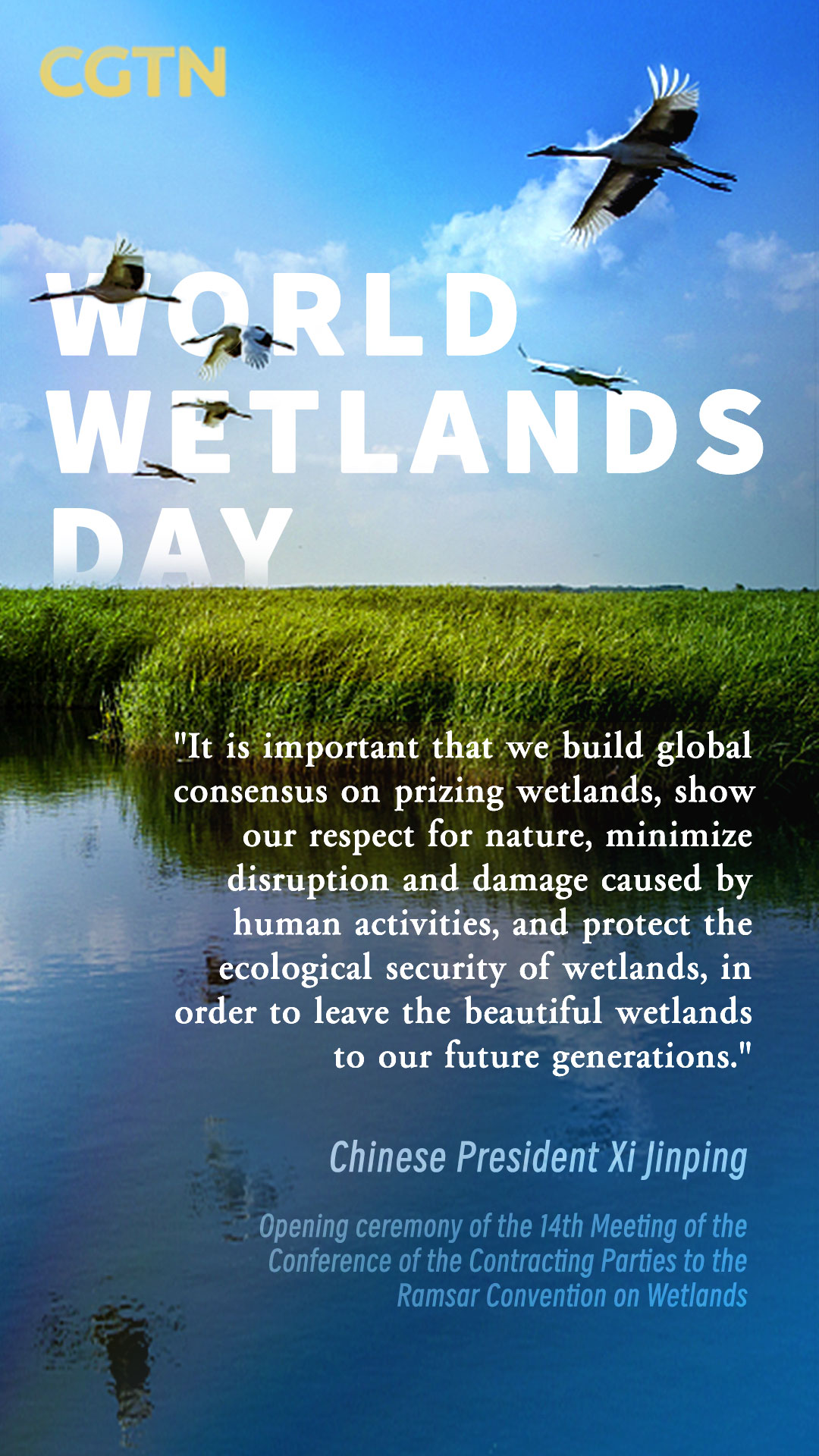 Remarks by Chinese President Xi Jinping at the opening ceremony of the 14th Meeting of the Conference of the Contracting Parties to the Ramsar Convention on Wetlands /Poster by CGTN