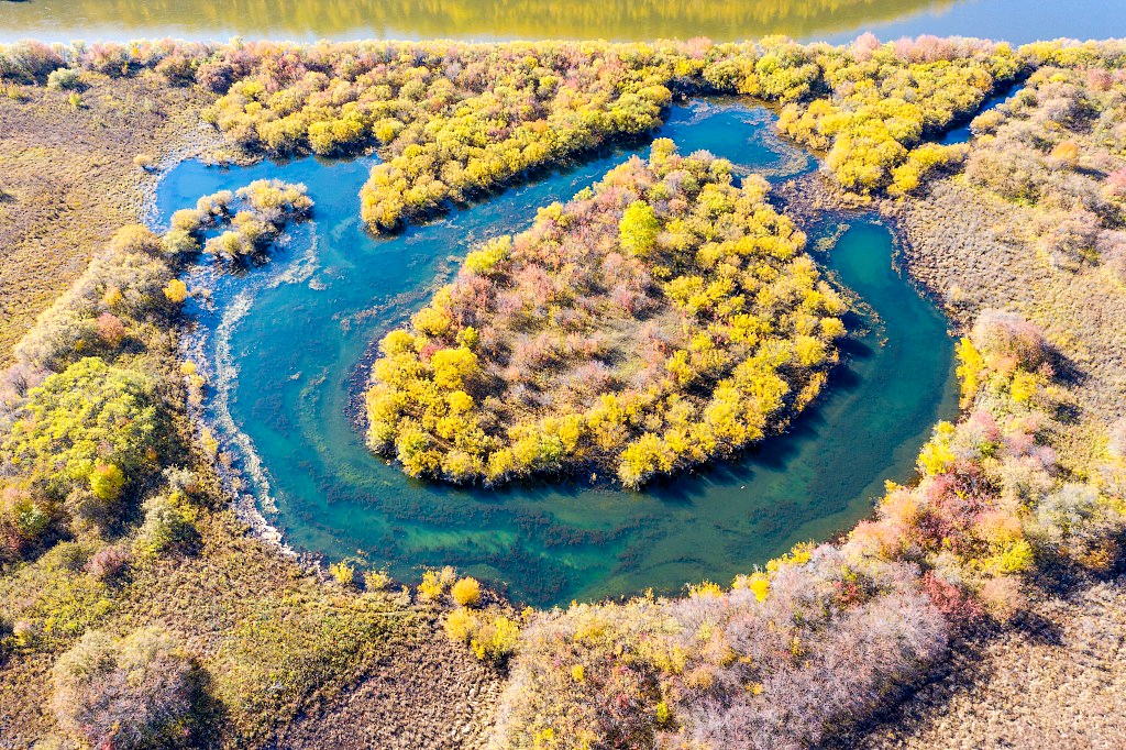 A file photo shows the autumn scenery at Ergun National Wetland Park in north China's Inner Mongolia Autonomous Region. /CFP