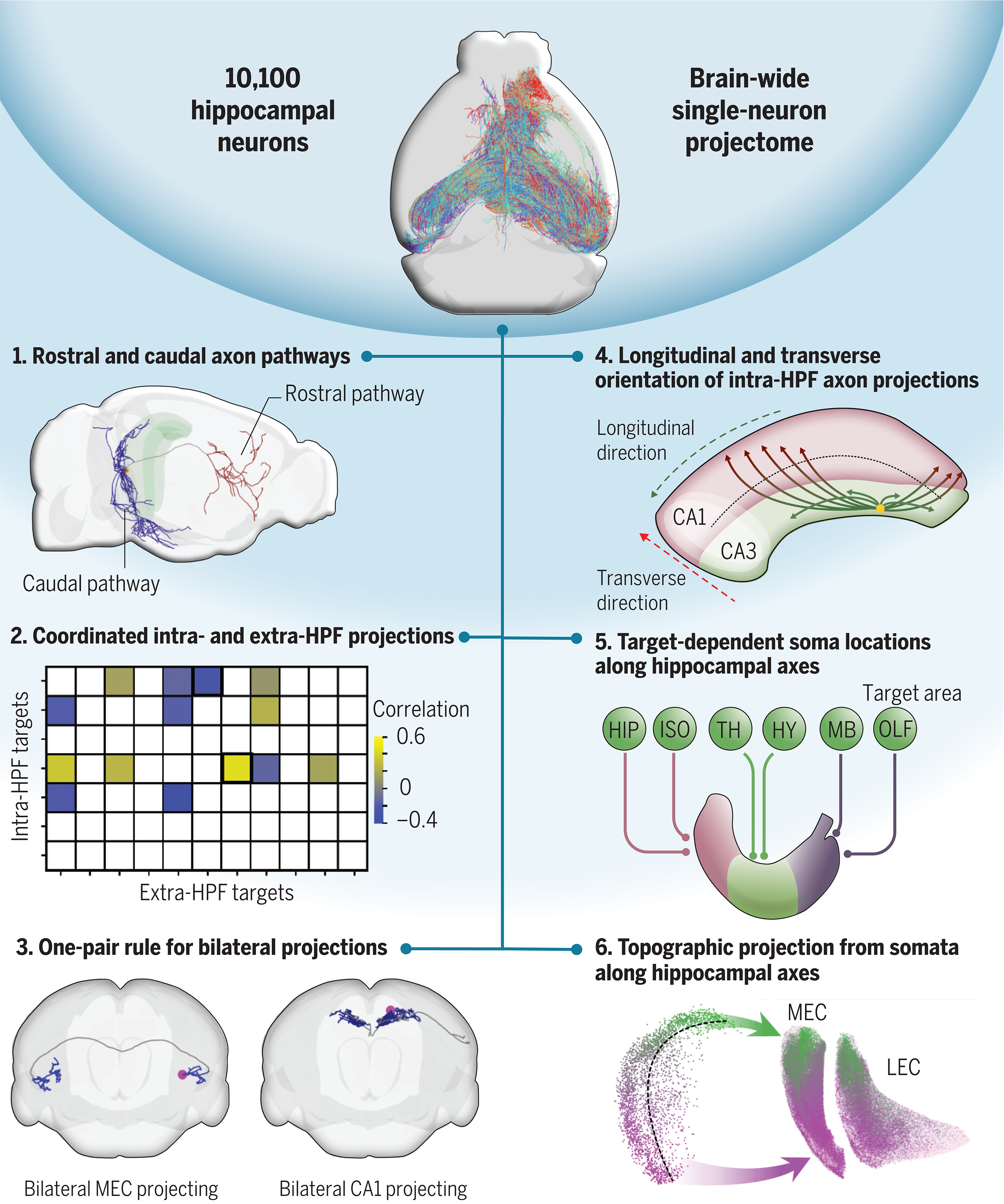 A screenshot of an illustration of the study published in the journal Science, showing spatial organization principles of HIP single-neuron projectomes.
