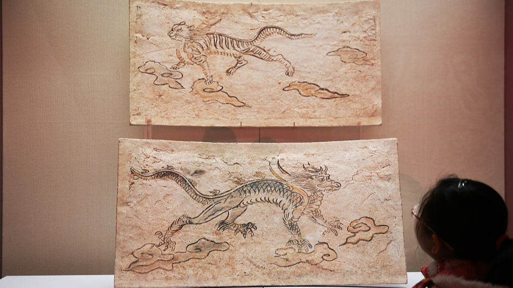 A photo taken on February 2, 2024 shows dragon artifacts on display at the Shanxi Archaeological Museum in Taiyuan. /CFP