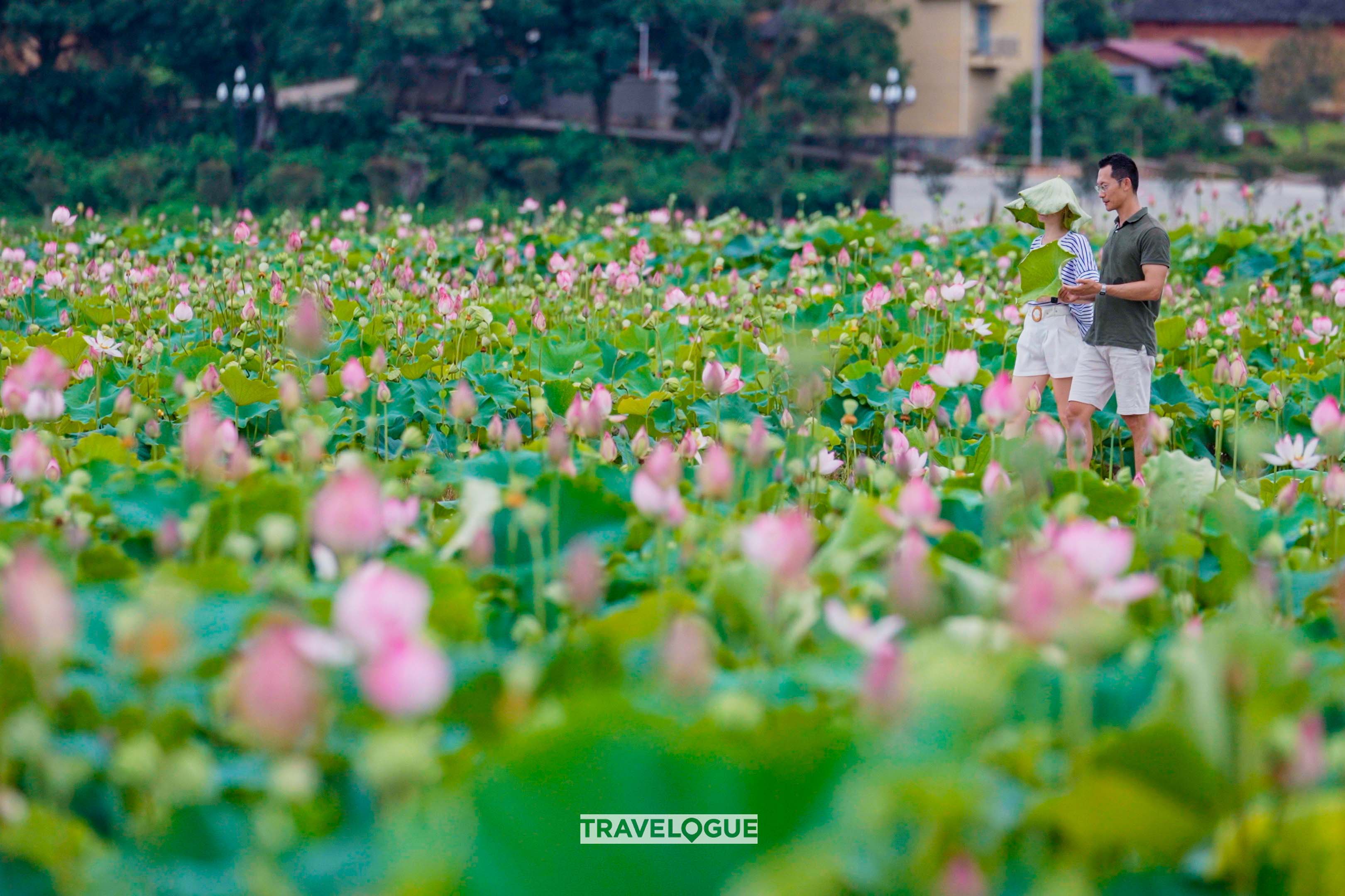 Lotus flowers in Wufu Ancient Town, southeast China's Fujian Province. /CGTN