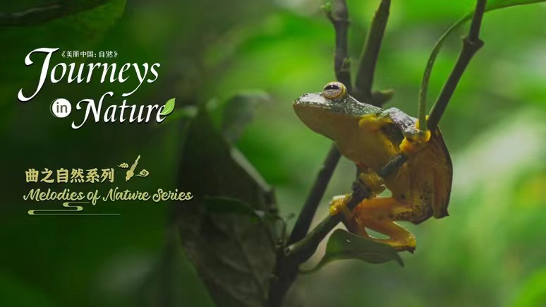 CGTN Nature to unveil its new documentary: Melodies of Nature Series