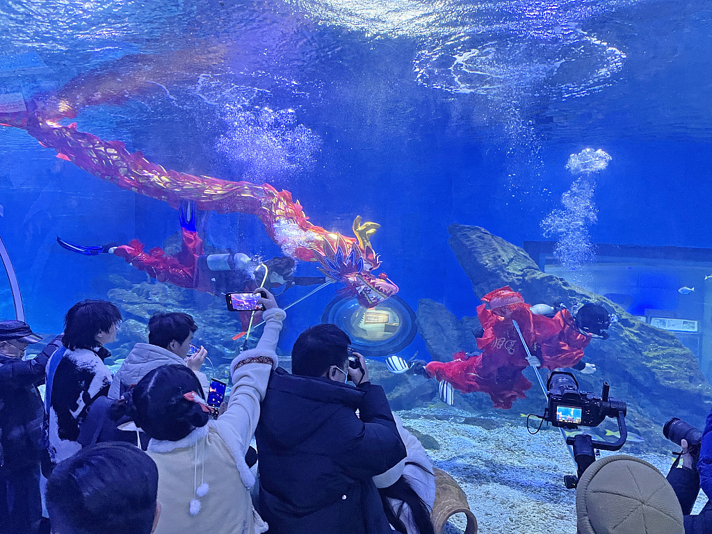 A photo taken on February 3, 2024 shows visitors taking photos of an underwater dragon dance performance at Haichang Ocean Park in Wuhan, Hubei Province, China. /CFP