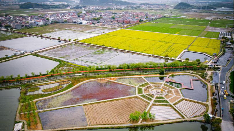 An agricultural study tour base in Fengqiao Town in Zhuji, east China's Zhejiang Province, March 29, 2023. /Xinhua