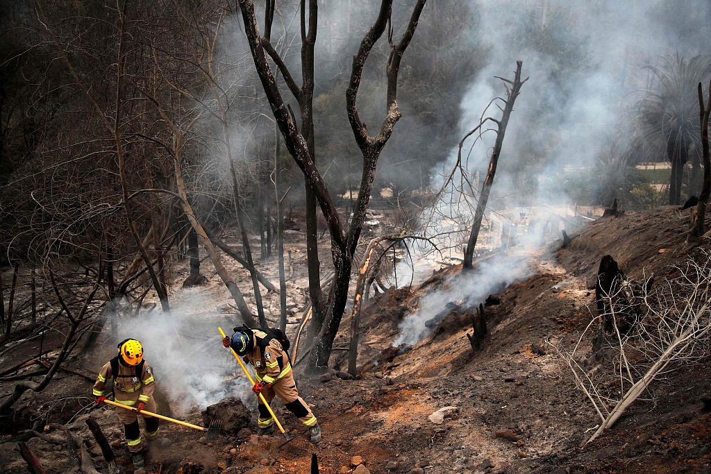 Firefighters work at the Botanical Garden after a forest fire in Viña del Mar, Chile, February 4, 2024. /CFP